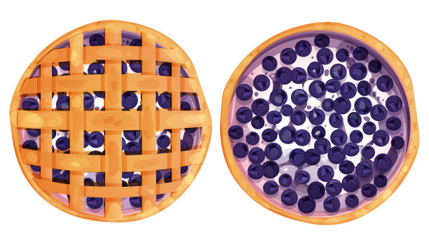 自制派，馅饼顶部视图整体与酸奶或奶油和蓝莓圆形面包店，甜点顶部视图在卡通风格孤立在白色背景。矢量图图片下载