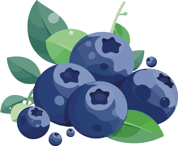 多汁的蓝莓成熟而新鲜图片下载