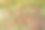 在欧洲森林中发现的带有苔藓和树枝的森林地面纹理。图片下载