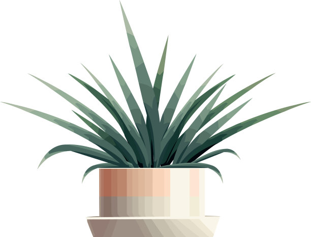 绿叶长在花盆里图片下载