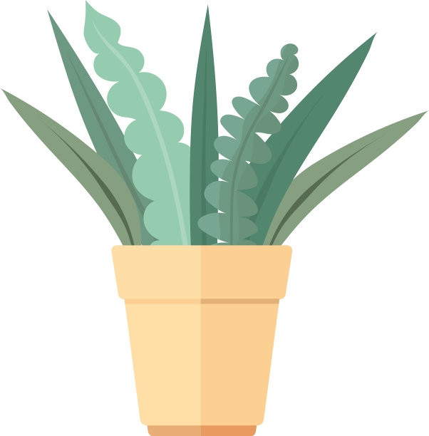 绿色植物在盆栽中生长图片下载