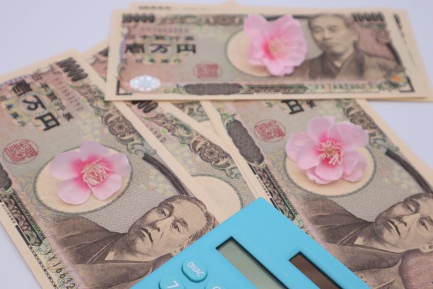 计算金钱的图像图片下载