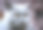 英国短毛猫小猫有着明亮的橙色眼睛图片下载
