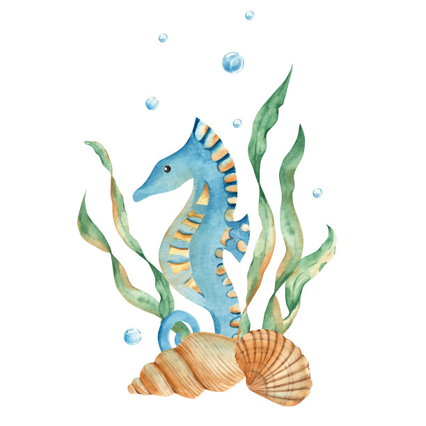 海洋组成可爱的海马、海藻、贝壳、水泡。水彩手绘插图的儿童孤立在白色的背景。用于卡片，海报，海洋设计。图片下载