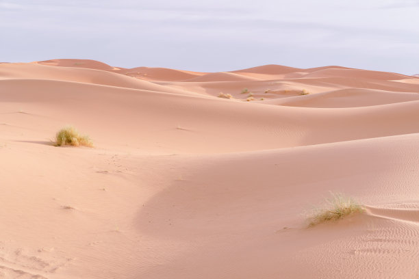 摩洛哥梅佐加沙漠的橙色沙丘和多云的天空。图片下载
