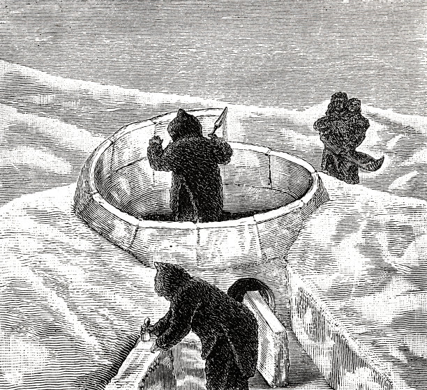 建造冰屋、冰屋图片下载