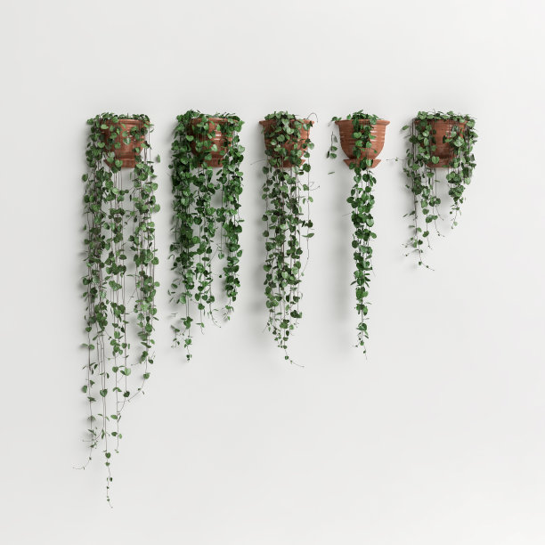 3d插图的赤陶土墙植物收集孤立在白色背景图片下载