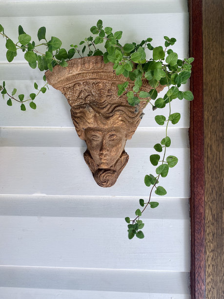 墙上的石质盆栽植物支架图片下载