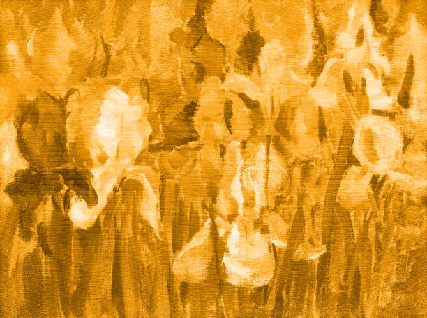 插图油画在深褐色的风景花鸢尾花盛开在花坛上图片下载