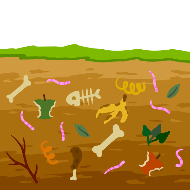 堆肥土壤。一层蚯蚓剖面。农业和食物浪费。生态腐殖质。图片下载