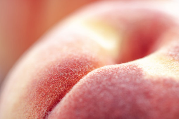 成熟美味的桃子特写图片下载