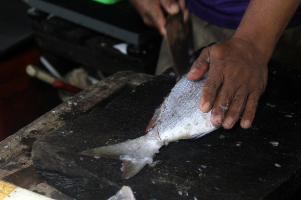 在巴厘岛的一个传统市场上，男性鱼贩在免费清洗鱼。图片下载