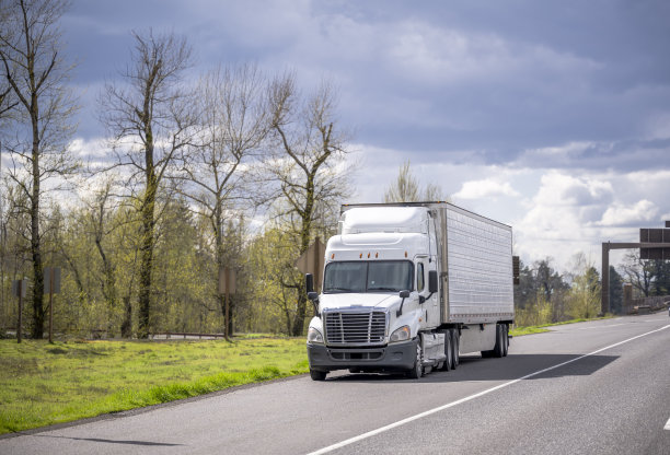 流行的白色大卡车与冰箱半挂车站在公路的路肩服务等待道路助理的帮助图片下载