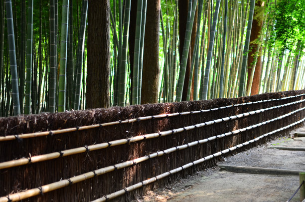 日式园林是传统园林，其设计以日本的美学和哲学思想为伴奏，避免人工装饰，突出自然景观。图片下载