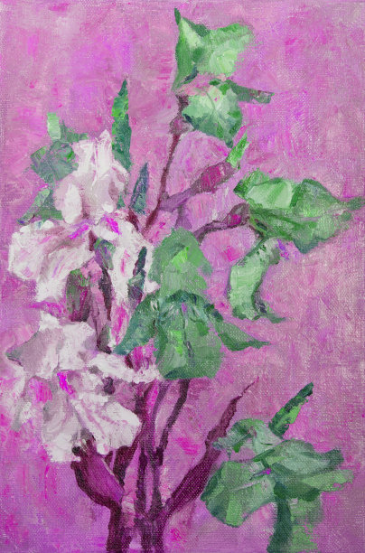 插图艺术作品油画花卉风景盛开的鸢尾花图片下载