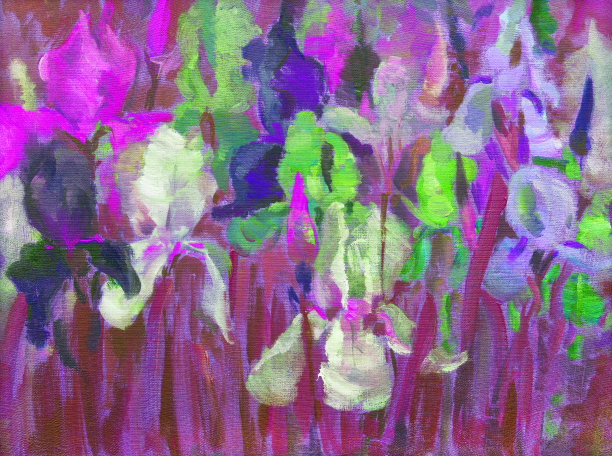 插图油画风景花鸢尾花盛开在花坛对树叶的背景图片下载