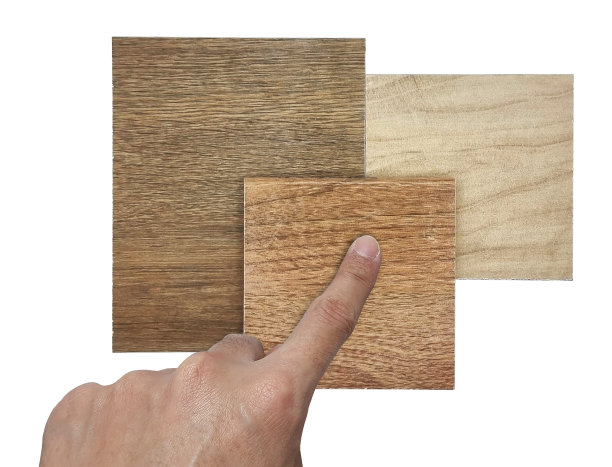 室内建筑师选择木质陶瓷地板样品，在背景上与剪切路径隔离。纹理的天然瓷砖地板装饰瓷砖样品为木材。图片下载