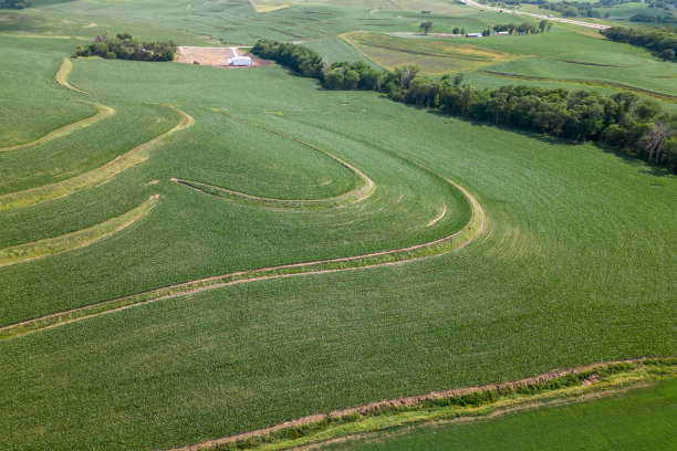 春天的夜空中，波浪起伏的田野上排列着冬粮图片下载