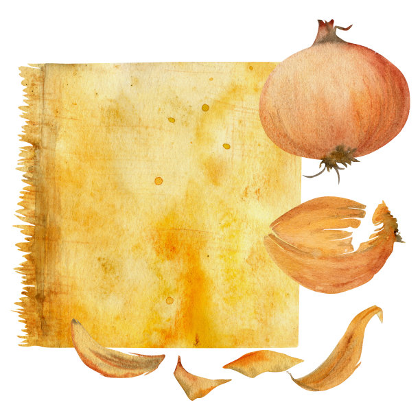 手绘水彩棕色洋葱着色天然植物染料，材料。爱好，手工织物。插图孤立构图，白色背景。商店标志，印刷品，网站，名片，小册子图片下载