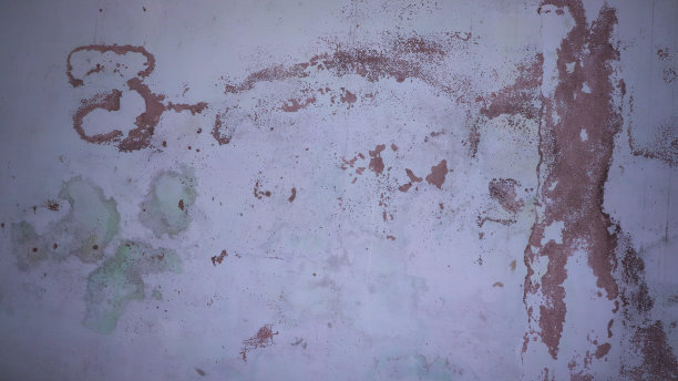 墙上的霉菌图片下载