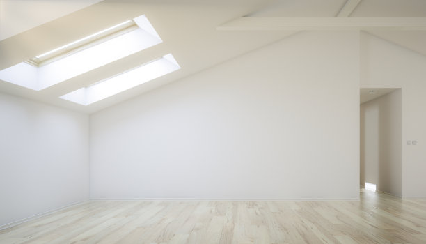 宽敞的阁楼转换- 3D可视化图片下载