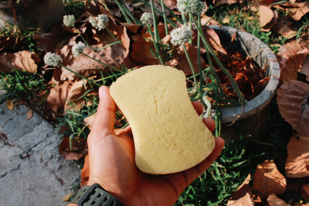 洗碗机海绵图片下载