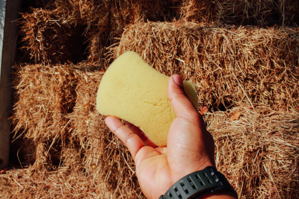 洗碗机海绵图片下载