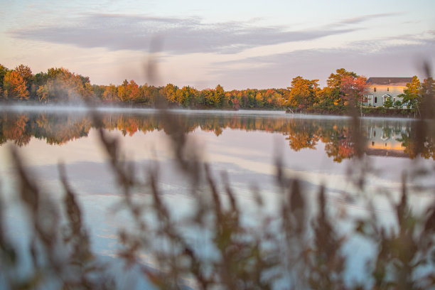 秋天秋天的景观壁纸复制空间背景平面设计广告图片下载