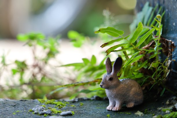 野外人偶图片下载