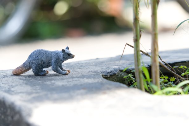 野外人偶图片下载