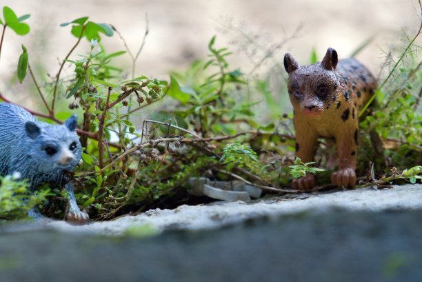 野外人偶图片下载