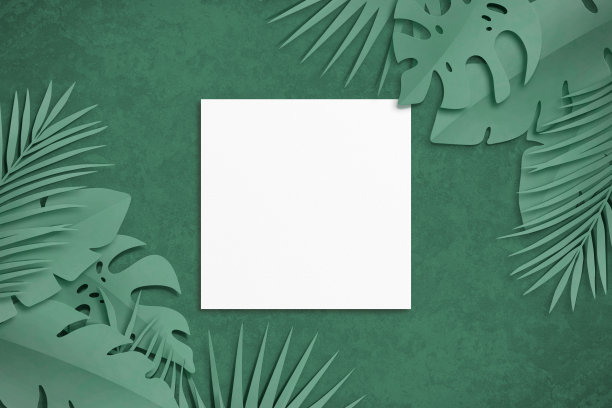 剪纸组成的热带棕榈叶，Monstera，香蕉，椰子叶，白色方形水彩纸。自然模型，绿色背景的夏季艺术。俯视图，近景，复制空间图片下载