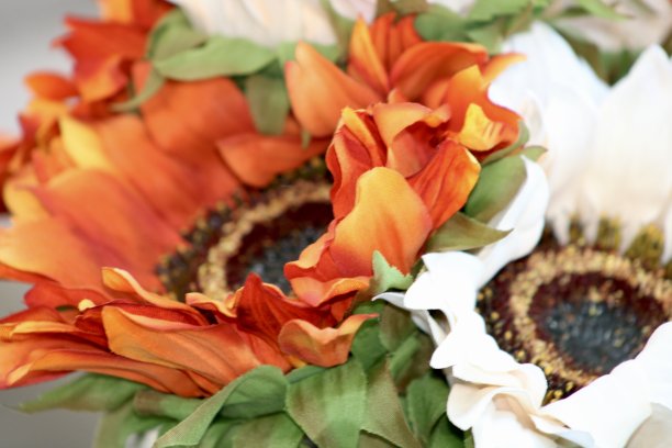 向日葵花束图片下载