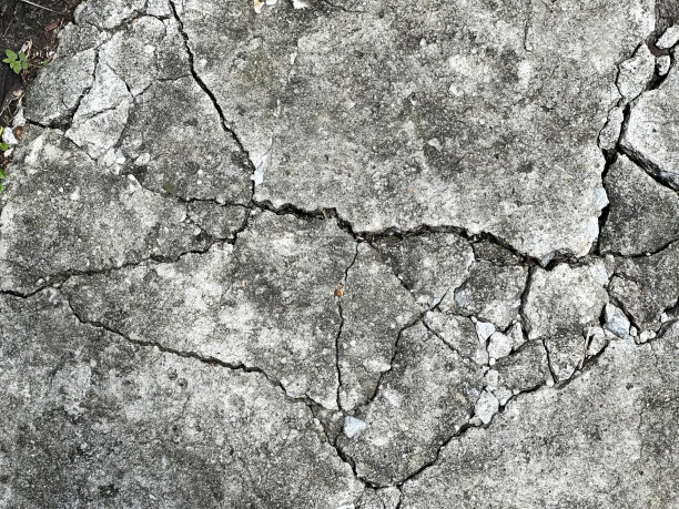 一张混凝土裂缝的照片，里面长出了一棵植物，一张人行道上混凝土裂缝的特写照片。图片下载