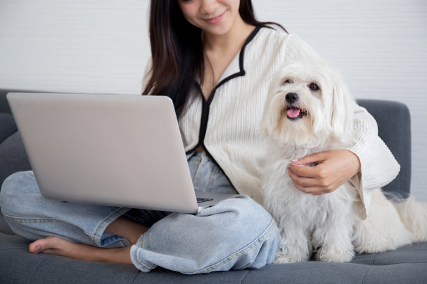 特写年轻的亚洲女人坐在笔记本电脑上工作，上网与舒适的伴侣狗在家里的客厅，女人休闲与宠物，生活方式的概念。图片下载