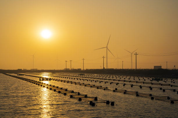 早晨的海边风力发电厂和海参农场图片下载
