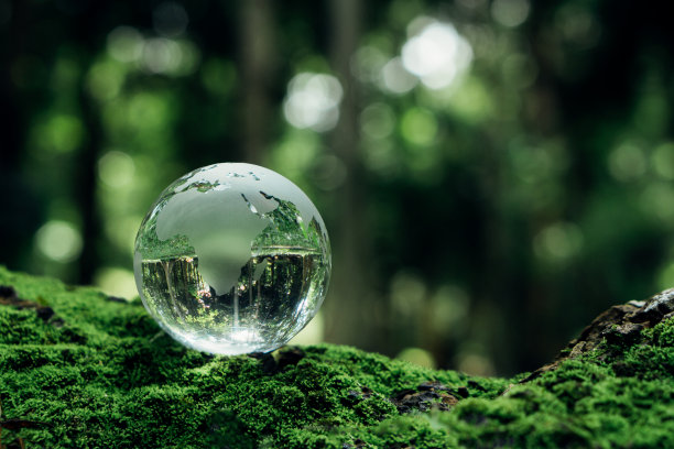 水晶地球上的苔藓与自然背景。环保，节约清洁地球，生态理念。世界可持续环境理念。图片下载