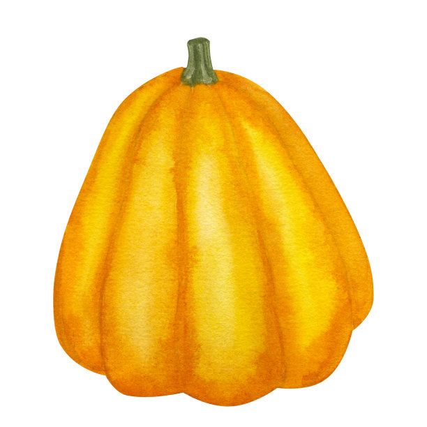 橙色南瓜剪贴画。感恩节或丰收节。手绘水彩插图孤立的白色背景。明信片、海报、织物的设计元素图片下载