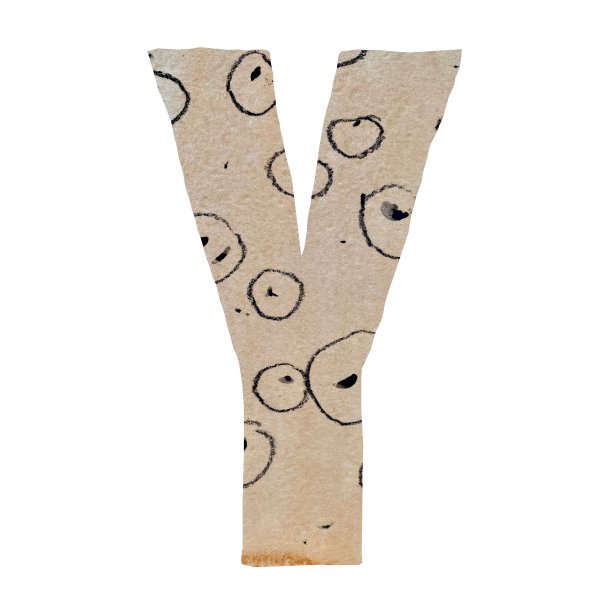 大写字母Y剪出纸字母图片下载