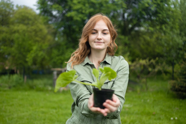 漂亮的年轻农学家在温室的花盆里捧着秧苗。植物保护和提高生产力的理念图片下载