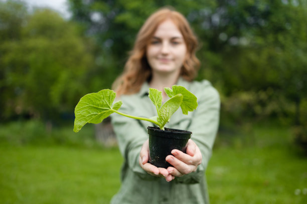 漂亮的年轻农学家在温室的花盆里捧着秧苗。植物保护和提高生产力的理念图片下载