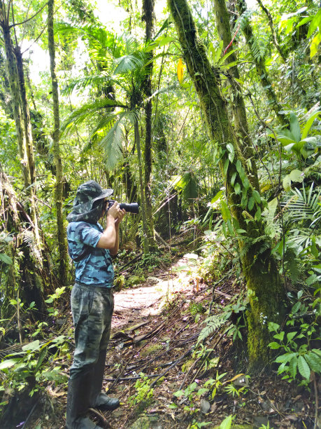 摄影师使用远距离镜头，穿着迷彩服，在茂密的森林环境中拍摄图片下载