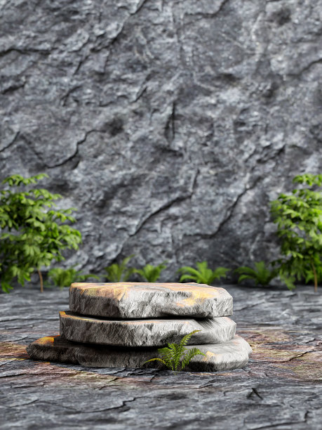 石台以暗色岩石为背景，绿色植物为产品展示场景图片下载