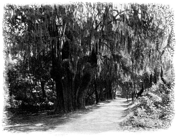 博斯克德查普尔特佩克(查普尔特佩克公园)在墨西哥城，墨西哥- 19世纪图片下载