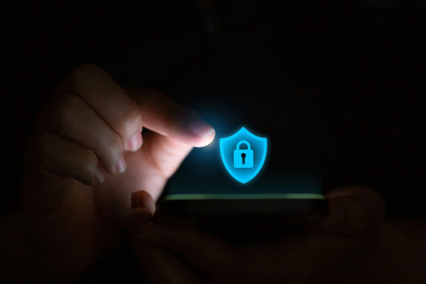 个人数据保护法或PDPA概念。手拿智能手机，带有保护数据不被窃取的图形。个人数据保护适用于个人数据隐私政策的两种形式图片下载