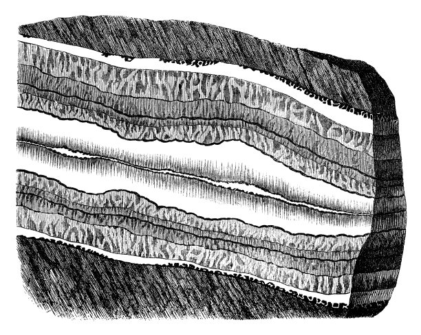 古董插图、地质和化石:土壤层和金属矿脉图片下载