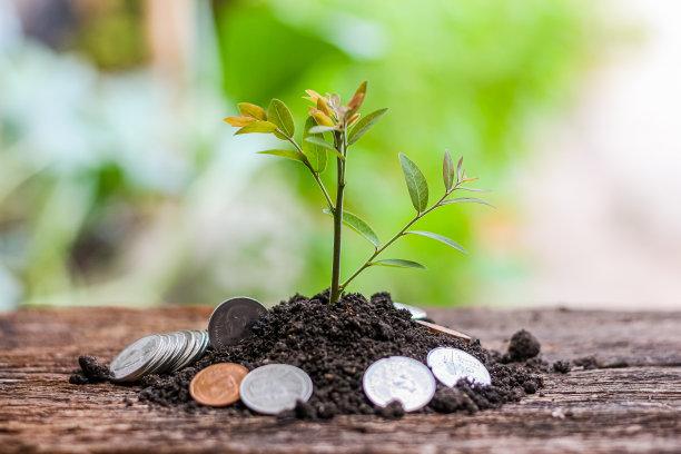 理财的钱随着储蓄的钱的增长而增长。图片下载