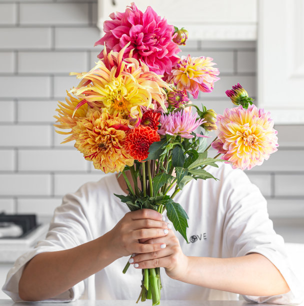 一个女人拿着一束大丽花，背景是浅色的。图片下载