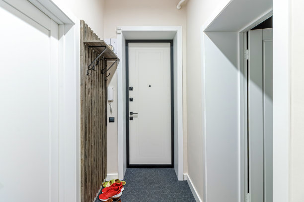 金属前门的颜色为白色，素白有简单的图案图片下载