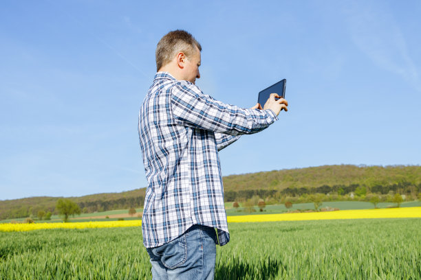 一位中年男性农艺师农民拿着数码平板电脑检查油菜籽作物的田地，并将数据写入电子设备。农业和现代技术。图片下载